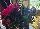 20260515 132720u    20260515_132720u.jpg